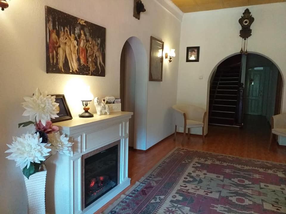 Vila Gabriel Sinaia Buitenkant foto