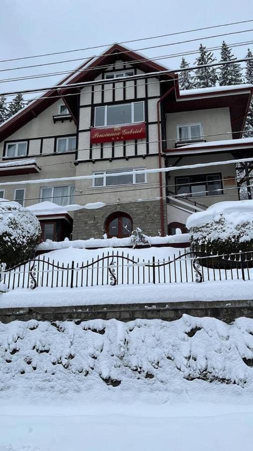 Vila Gabriel Sinaia Buitenkant foto