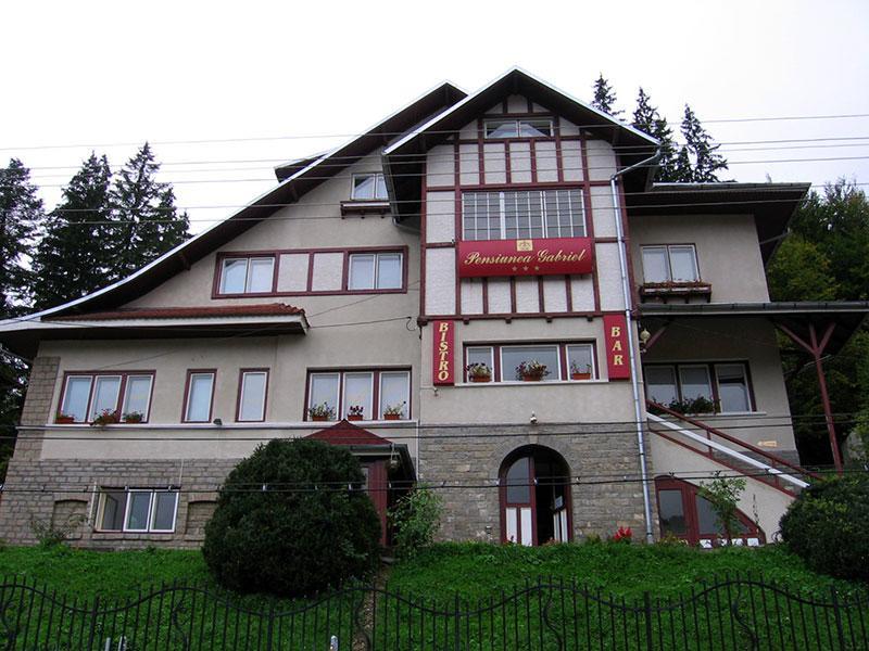 Vila Gabriel Sinaia Buitenkant foto