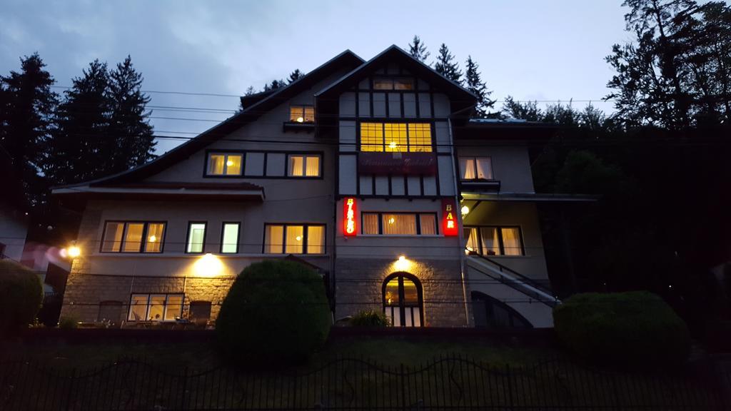 Vila Gabriel Sinaia Buitenkant foto
