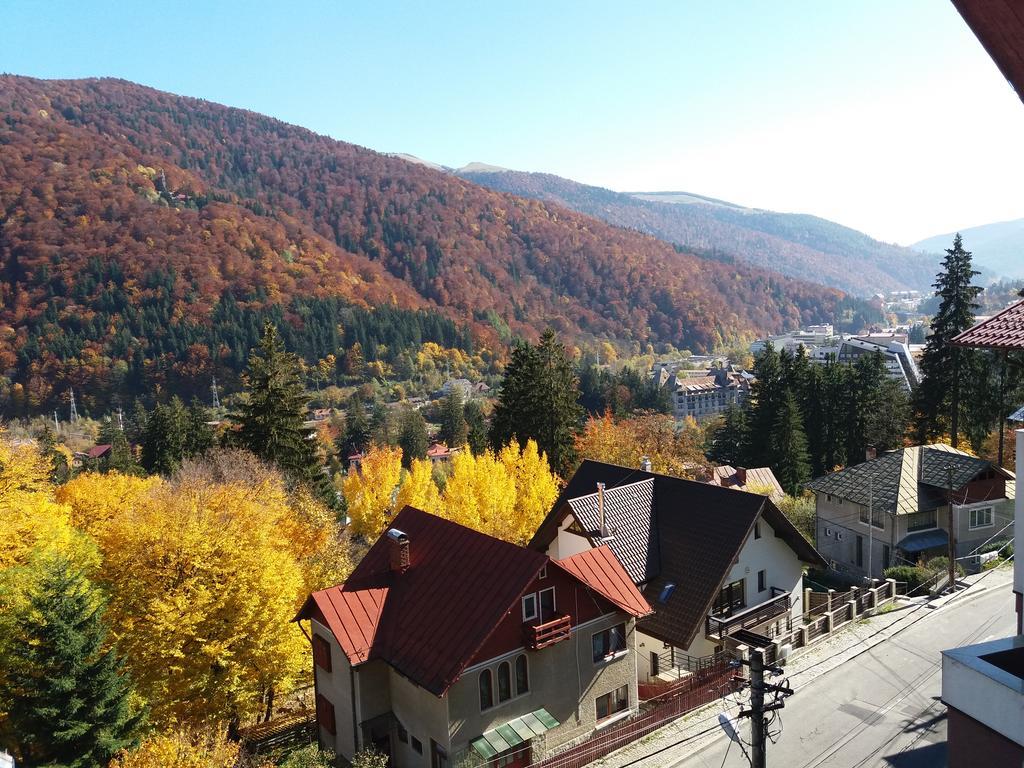 Vila Gabriel Sinaia Buitenkant foto