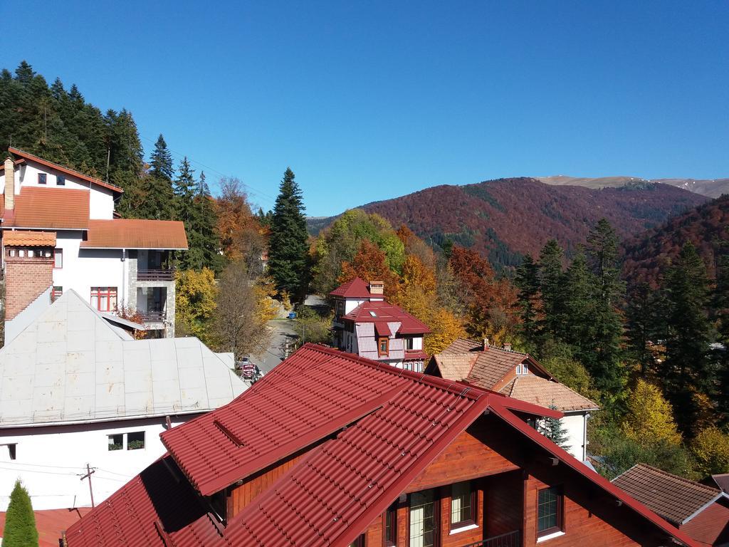 Vila Gabriel Sinaia Buitenkant foto