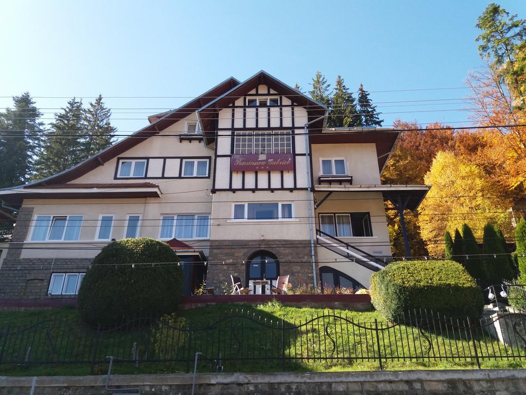 Vila Gabriel Sinaia Buitenkant foto