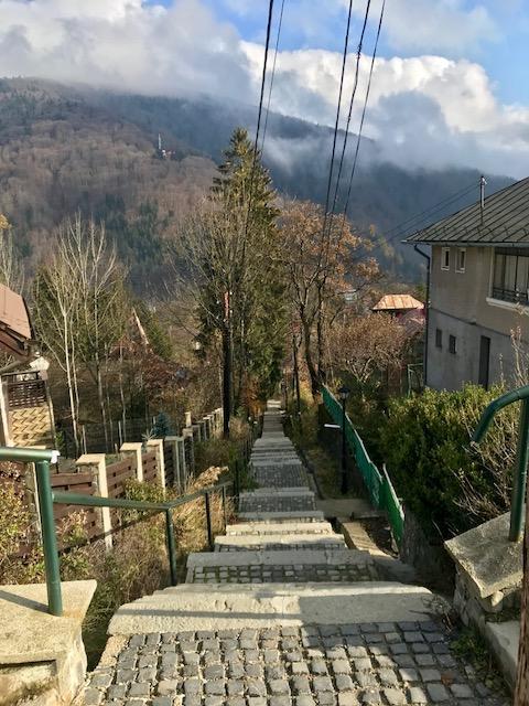 Vila Gabriel Sinaia Buitenkant foto