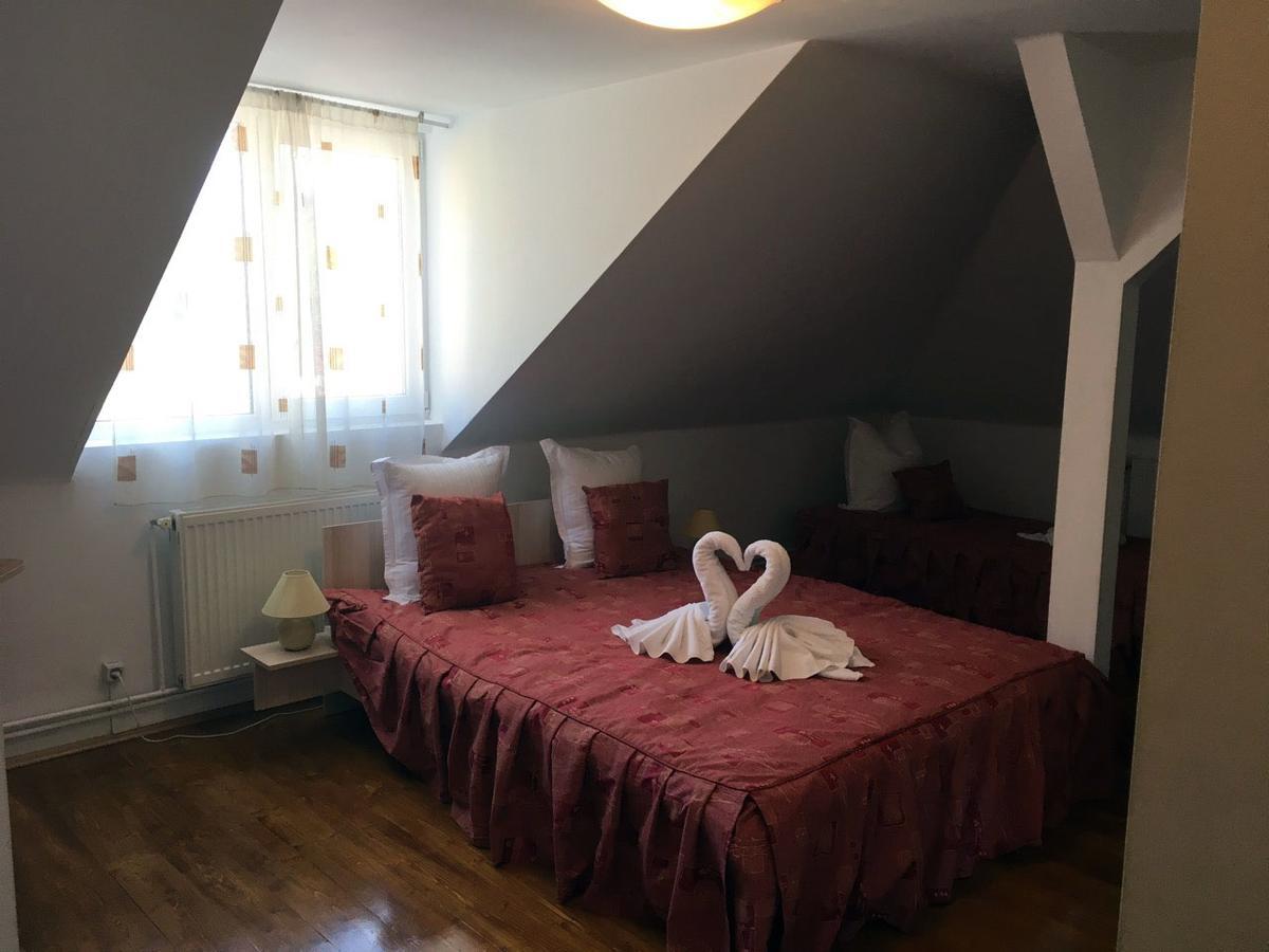 Vila Gabriel Sinaia Buitenkant foto