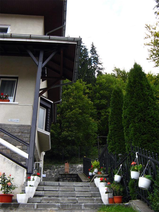 Vila Gabriel Sinaia Buitenkant foto