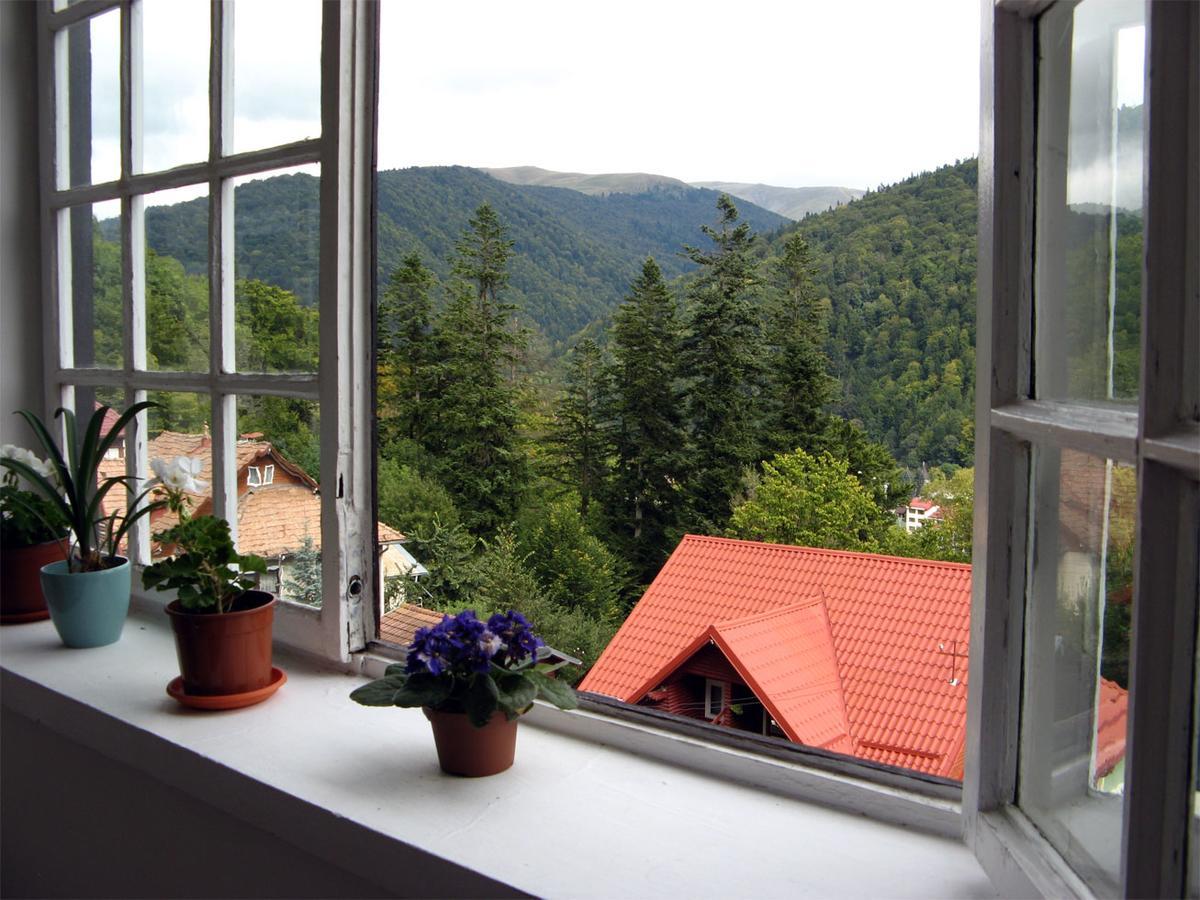 Vila Gabriel Sinaia Buitenkant foto