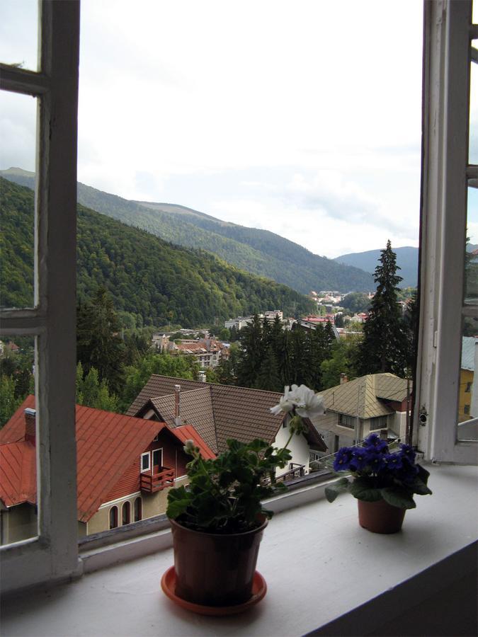 Vila Gabriel Sinaia Buitenkant foto