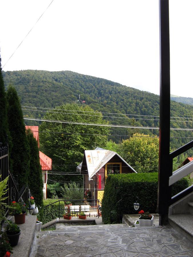Vila Gabriel Sinaia Buitenkant foto