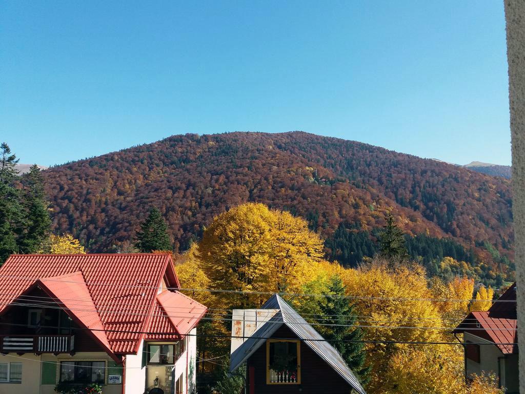 Vila Gabriel Sinaia Buitenkant foto
