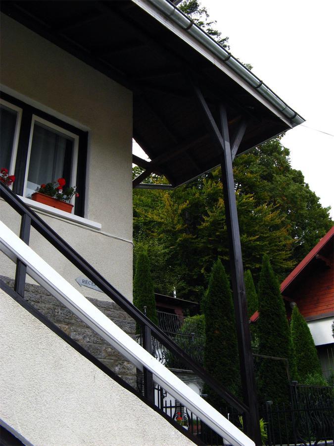 Vila Gabriel Sinaia Buitenkant foto